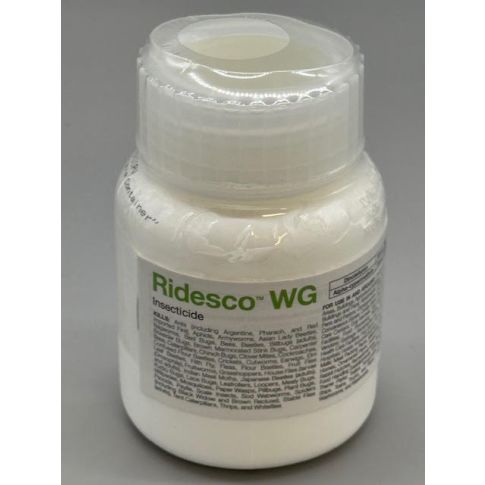 BSF59031016_RIDESCO_WG_190_011625