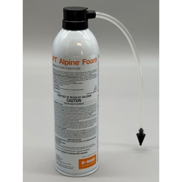 BSF59014270_ALPINE_FOAM_20_122124