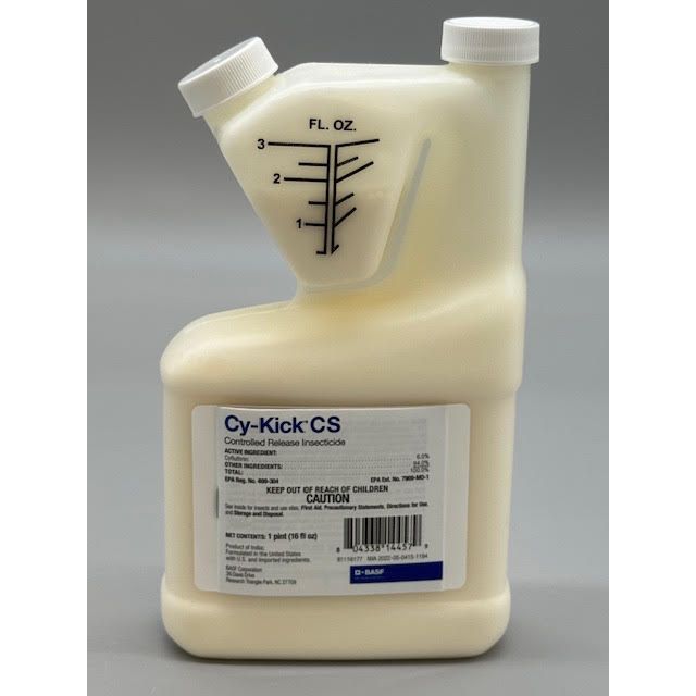 BSF59014457_CY-KICK_CS_16_122424