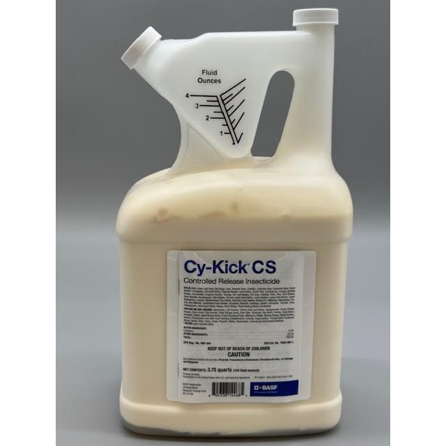 BSF59014468_CY-KICK_CS_120_122424