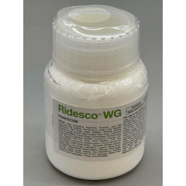 BSF59031016_RIDESCO_WG_190_011625