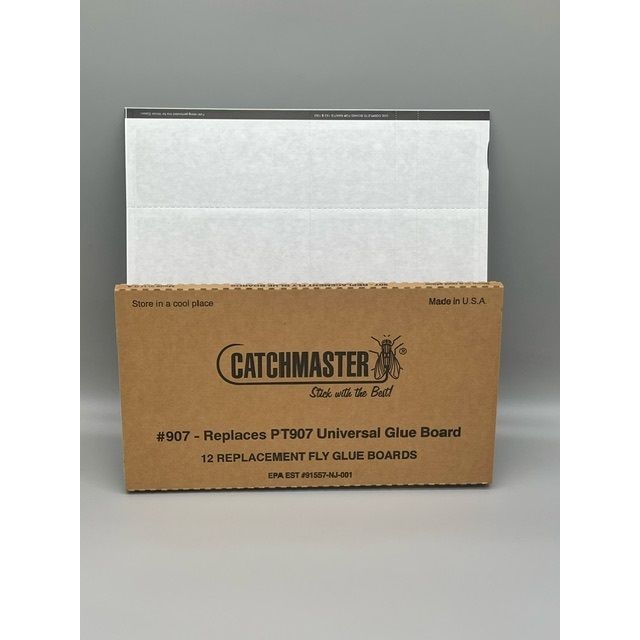 CMR907_ILT_GLUEBOARD_070324