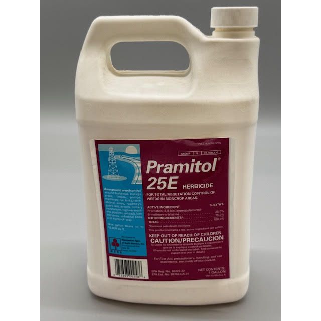 CSI82000025_PRAMITOL_128_061025