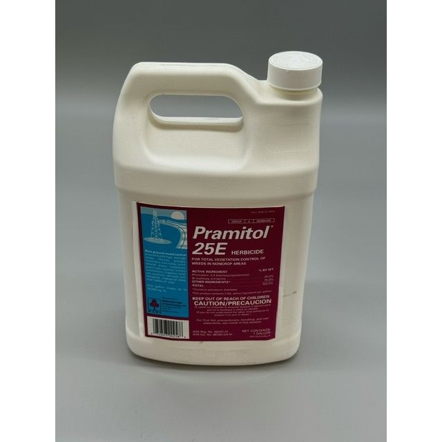 CSI82000025_PRAMITOL_2E_128_092224