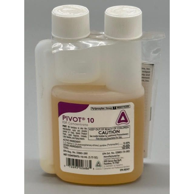 CSI82002686_PIVOT-10_110_012325