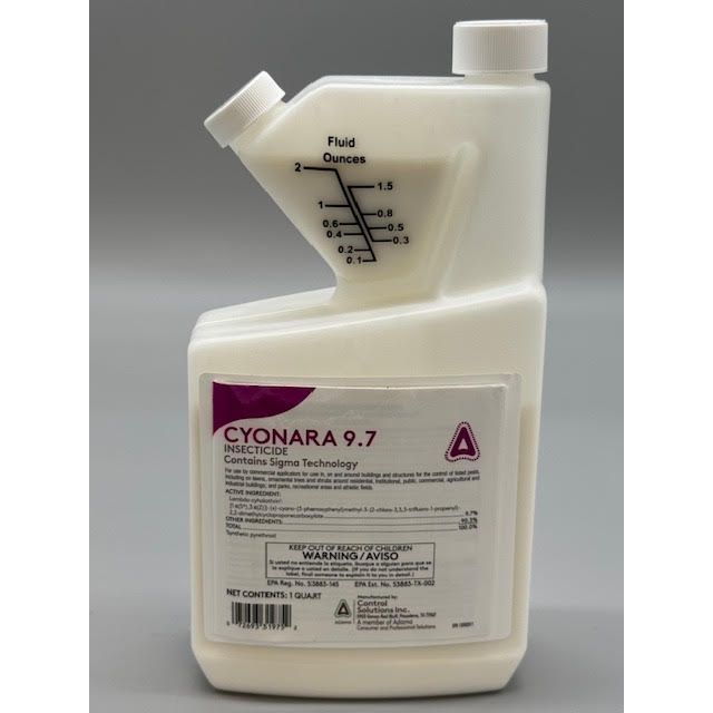CSI82031975_CYONARA_32_122424