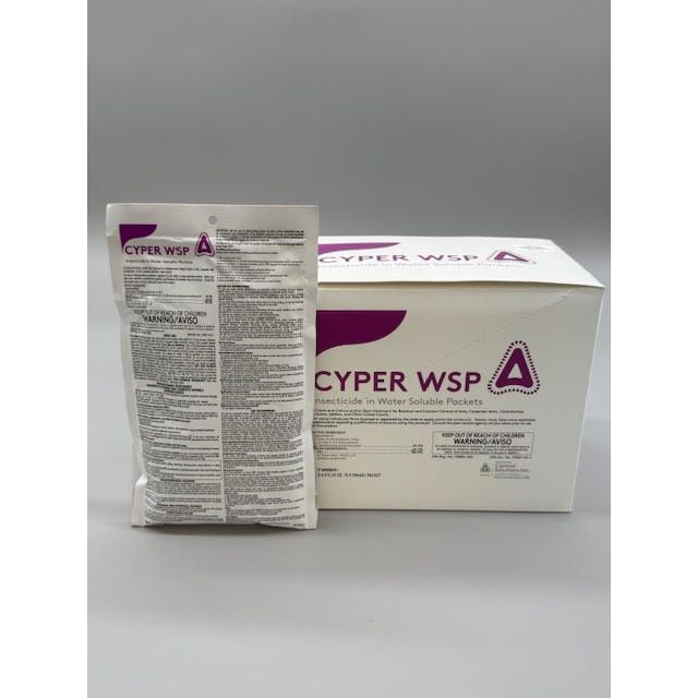 CSI82300001_CYPER_WSP_12495_122424
