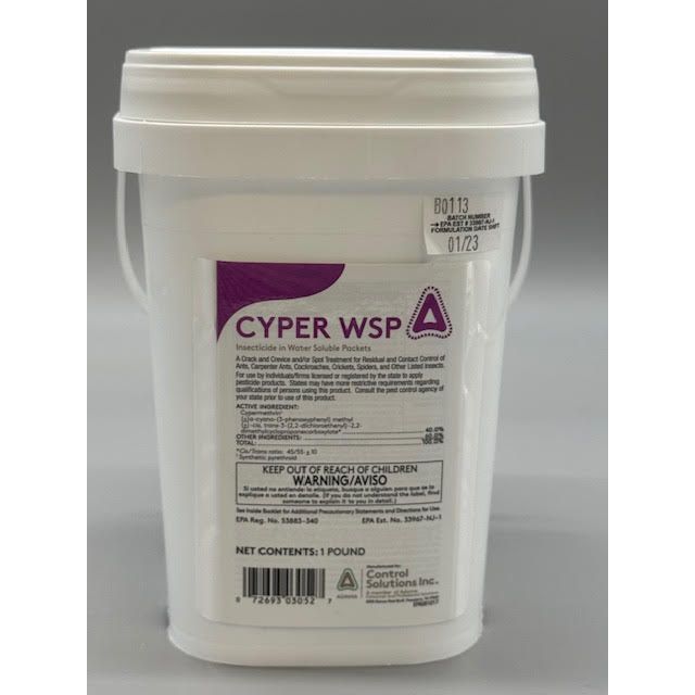 CSI82300305_CYPER_WSP_1_122424