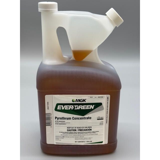 MGK7469-J28_EVERGREEN_PY_128_012525