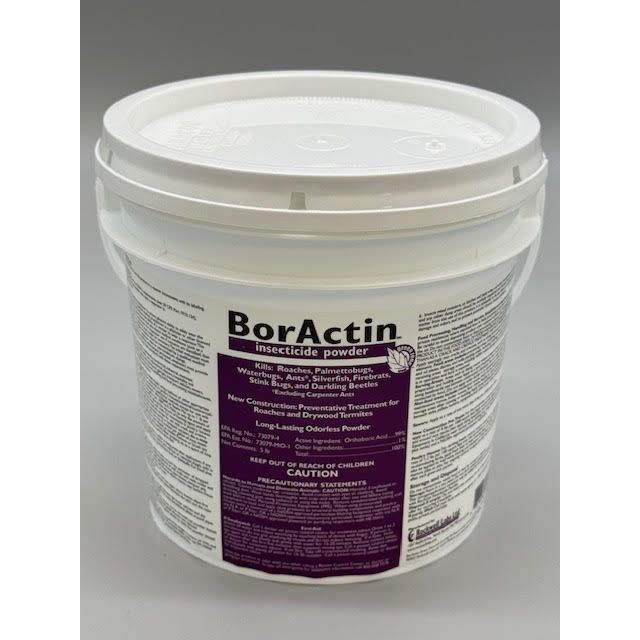 ROCBAIP005_BORACTIN_DUST_5_121324