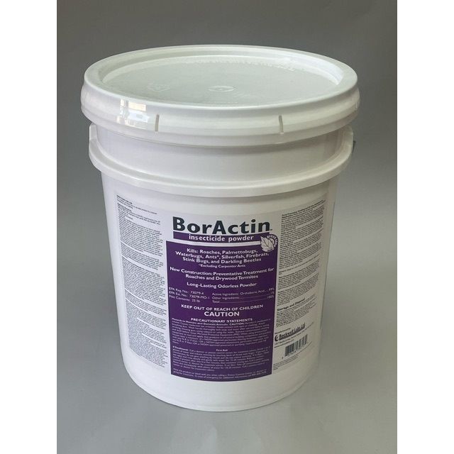 ROCBAIP025_BORACTIN_DUST_25_070524