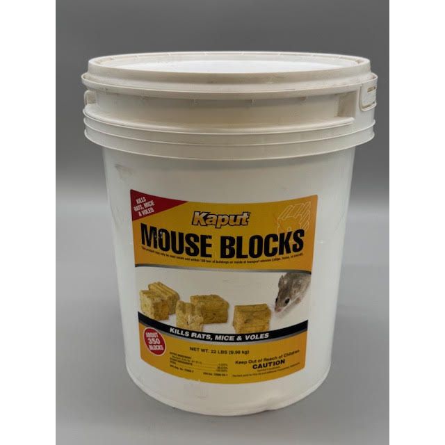 SCI071225_KAPUT_MOUSE_BLOCKS_22_012125