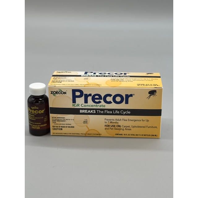 ZOE37190B_PRECOR_10_012325