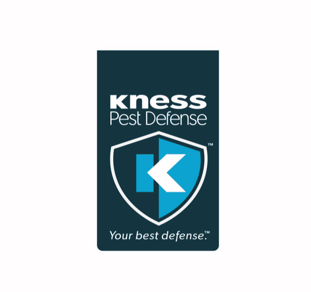 KNESS
